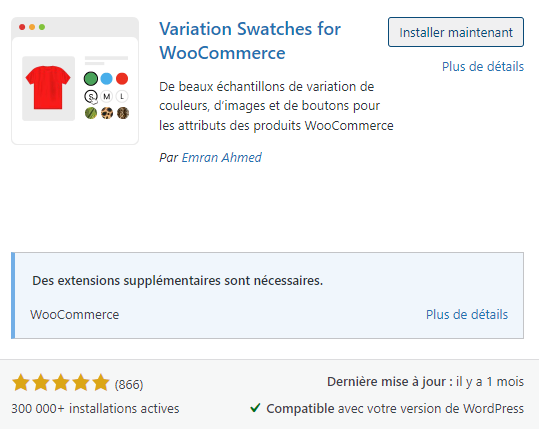 Plugin variation produit WooCommerce